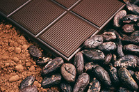 Как шоколад влияет на состояние кожи